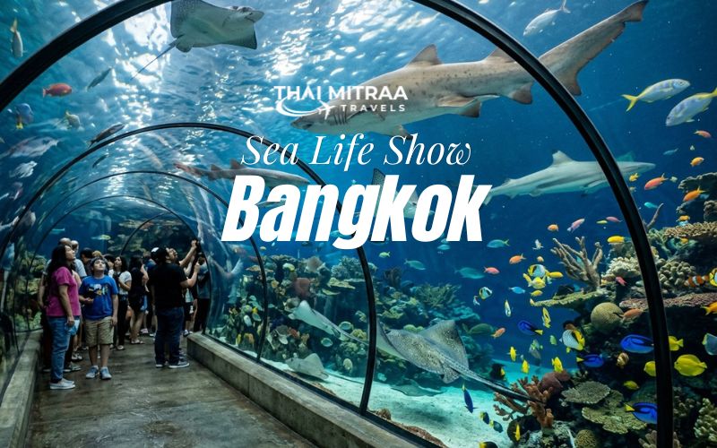 Sea Life & Madame Tussauds